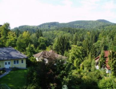 Ferienhotel Waldfrieden Bad Sachsa Esterno foto