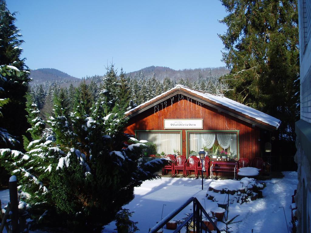 Ferienhotel Waldfrieden Bad Sachsa Esterno foto