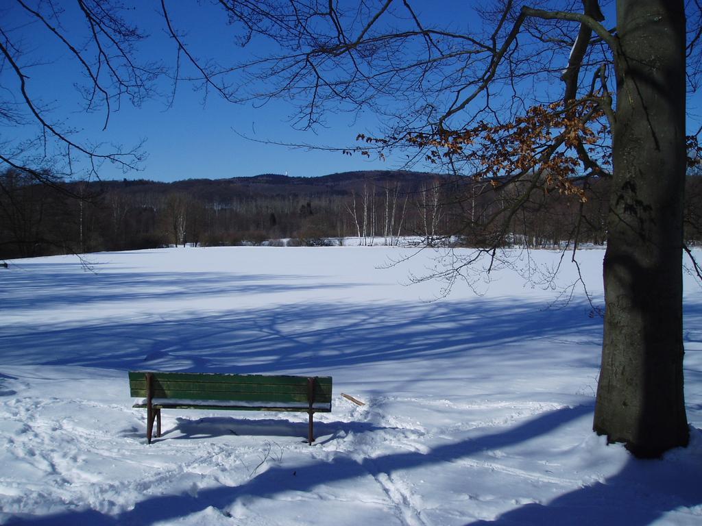 Ferienhotel Waldfrieden Bad Sachsa Esterno foto