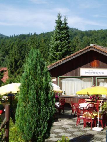 Ferienhotel Waldfrieden Bad Sachsa Esterno foto