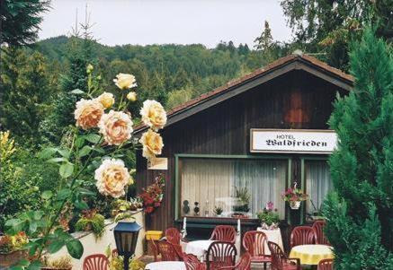 Ferienhotel Waldfrieden Bad Sachsa Esterno foto